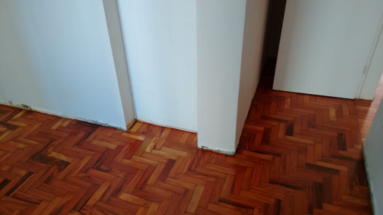 Obra 7